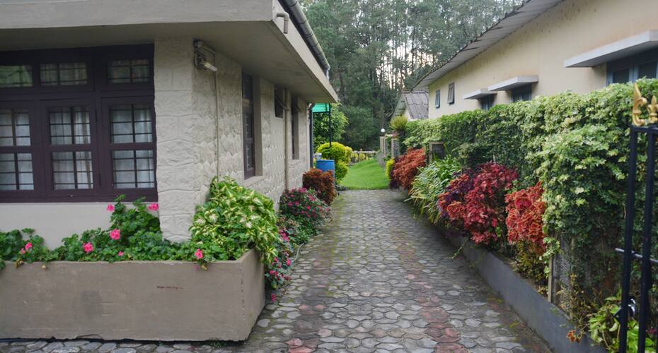 Johns Cottage Homestay, Munnar 4